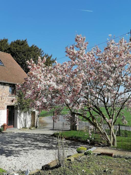 Gite Rural La Ferme Du Semeur-Zaaiershof Лессін Екстер'єр фото